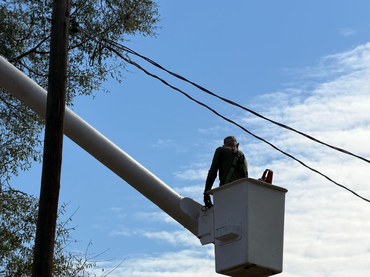 El Costeño Tree Service LLC